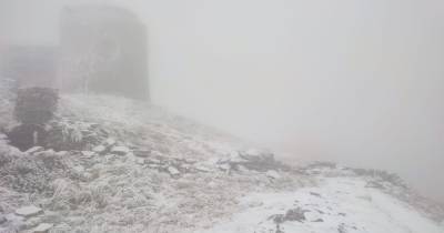 Спасатели показали, как бушует непогода на горе Поп Иван в Карпатах (видео)