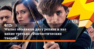 Джуд Лоу - Гарри Поттер - Warner объявили дату релиза иназвание третьих «Фантастических тварей» - ridus.ru