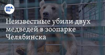 Неизвестные убили двух медведей в зоопарке Челябинска