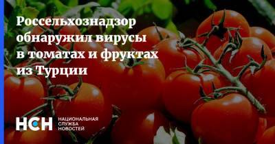 Россельхознадзор обнаружил вирусы в томатах и фруктах из Турции