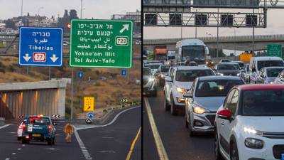 Видео: рыжая корова на час остановила движение транспорта на севере Израиля