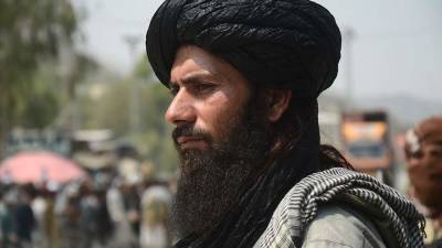 Песков прокомментировал желание «Талибана» получить приглашение в Москву