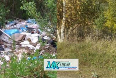 В Ярославской области мусор проще свалить в лесу, чем вывезти на свалку
