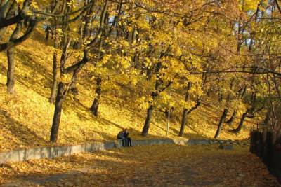 Петербуржцам рассказали, как часто должны убирать листву осенью