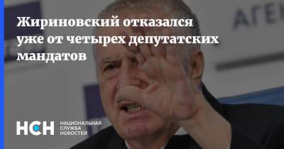 Жириновский отказался уже от четырех депутатских мандатов