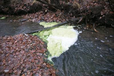 В Свердловской области больше всего в России экстремально загрязненных рек. Исследование
