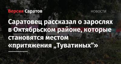 Саратовец рассказал о зарослях в Октябрьском районе, которые становятся местом «притяжения „Туватиных“»