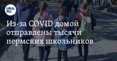 Из-за COVID домой отправлены тысячи пермских школьников