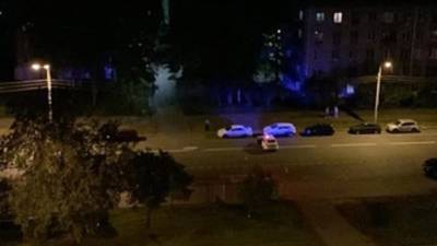 В Петербурге водитель насмерть сбил женщину и собаку и скрылся