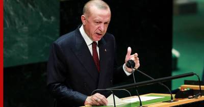 Эрдоган заявил, что Турция ожидает от России "иного подхода" к Сирии