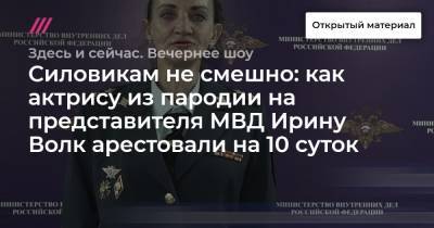 Силовикам не смешно: как актрису из пародии на представителя МВД Ирину Волк арестовали на 10 суток