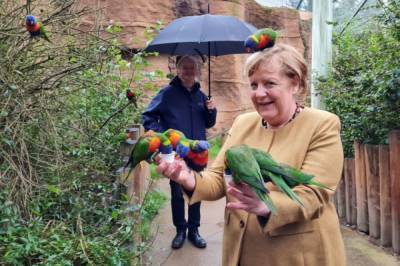 На Меркель во время посещения птичьего парка «напал» попугай