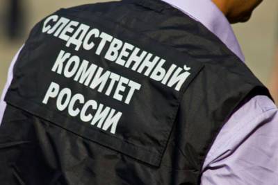 В Красноярске арестован студент колледжа, готовивший нападение на однокурсников – Учительская газета