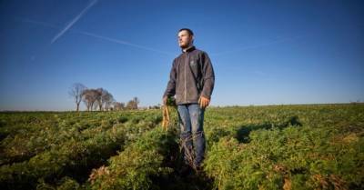 В Украине приняли закон о поддержке молодых фермеров: кому и чем будут помогать