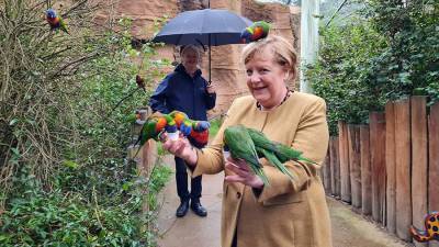 Канцлер Германии Ангела Меркель подверглась «нападению» попугая