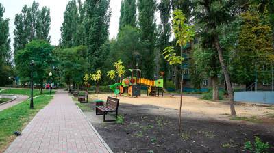 На улицах и в скверах Воронежа до конца осени высадят около 700 деревьев