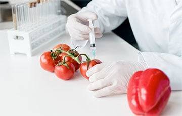 В Японии начали продавать помидоры с отредактированным геномом