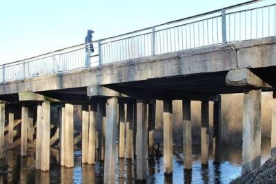 Мост через реку Шесть в Пушкиногорском районе капитально отремонтируют