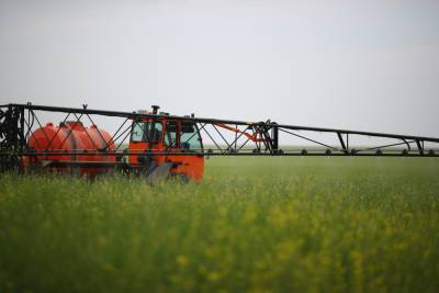 В Волгоградской области собрали более 3,8 млн тонн зерновых