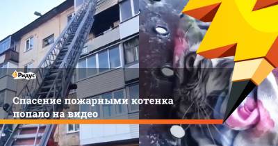 Спасение пожарными котенка попало на видео