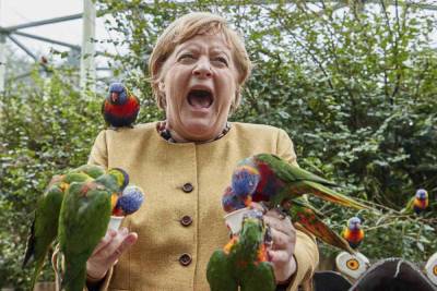 Ангелу Меркель атаковал агрессивный попугай