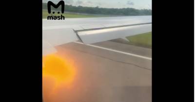 Стая орлов преградила путь российскому туристическому самолету: двигатель заполыхал (ВИДЕО)