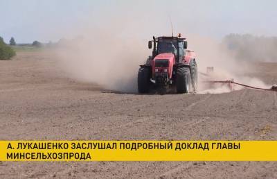 Лукашенко поручил аграриям в течение недели завершить сев озимых