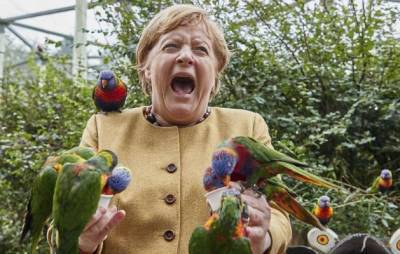 На прощанье: Ангелу Меркель больно клюнул попугай