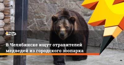 В Челябинске ищут отравителей медведей из городского зоопарка