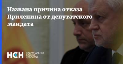 Названа причина отказа Прилепина от депутатского мандата