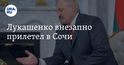 Лукашенко внезапно прилетел в Сочи