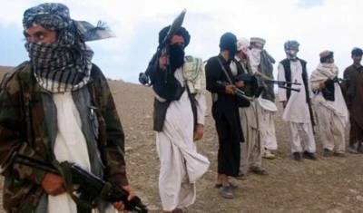 Талибы* вернут практику отрубания конечностей и смертные казни