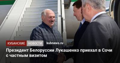Президент Белоруссии Лукашенко приехал в Сочи с частным визитом
