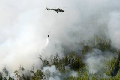Власти ответили на данные Greenpeace о рекордных пожарах в России