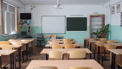 Число классов на удалёнке в школах Петербурга перевалило за сотню