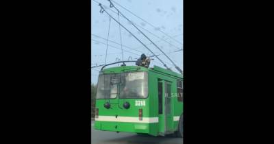 В Харькове открыли уголовное производство против скрипача за игру на крыше троллейбуса (видео)