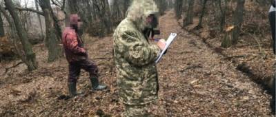На Луганщине будут судить работников лесного хозяйства, нанесших убытков на миллион гривень