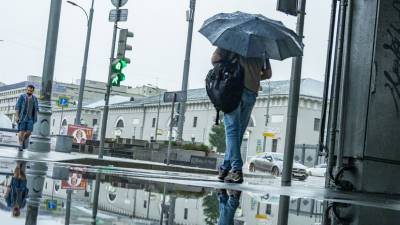 В центре погоды «Фобос» предупредили о дождливой погоде в Москве
