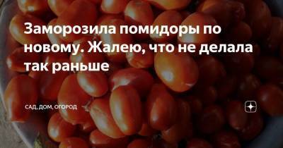 Заморозила помидоры по новому. Жалею, что не делала так раньше