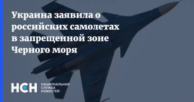 Украина заявила о российских самолетах в запрещенной зоне Черного моря