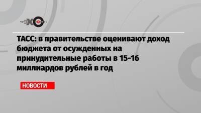 ТАСС: в правительстве оценивают доход бюджета от осужденных на принудительные работы в 15-16 миллиардов рублей в год