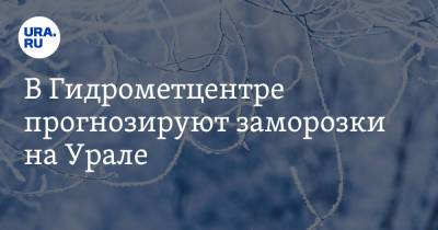 В Гидрометцентре прогнозируют заморозки на Урале