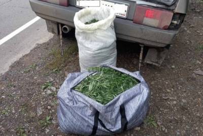 Полиция за лето изъяла у забайкальцев почти 300 кг наркотиков