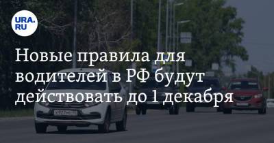 Новые правила для водителей в РФ будут действовать до 1 декабря