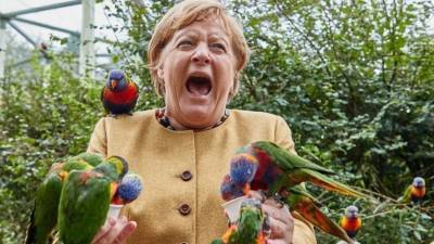 Фото атакованной попугаями Ангелы Меркель стало интернет-мемом