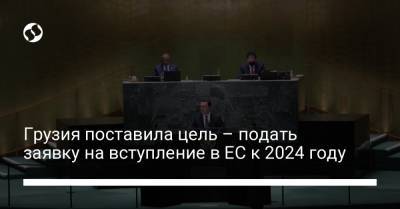 Грузия поставила цель – подать заявку на вступление в ЕС к 2024 году