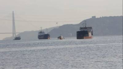 Российский сухогруз столкнулся с турецким кораблем в проливе Босфор
