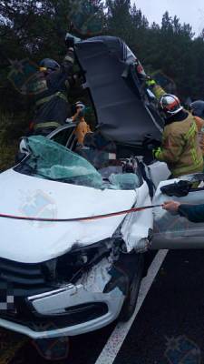 На трассе «Кола» погиб водитель легковушки после столкновения с грузовиком – фото