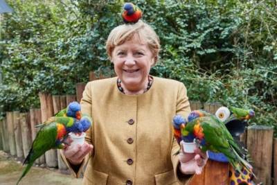 Самый милый канцлер в мире: в Сети появилось фото Ангелы Меркель с попугаем на голове (ФОТО)