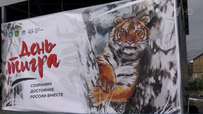 Владимир Путин направил приветствие участникам фестиваля, посвященного амурскому тигру